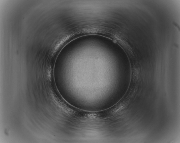 X0000100950064200806241513