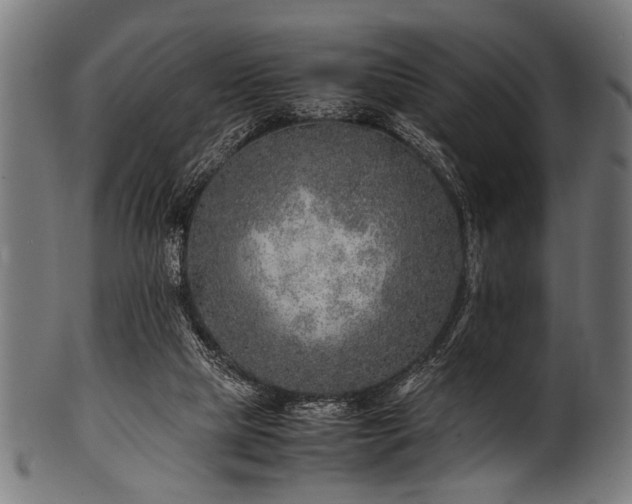 X0000100950065200806241513