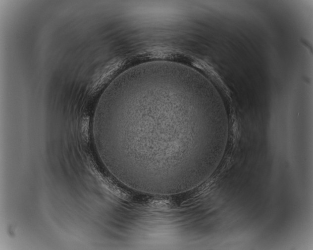 X0000100950066200806241513