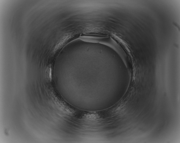 X0000100950067200806241513