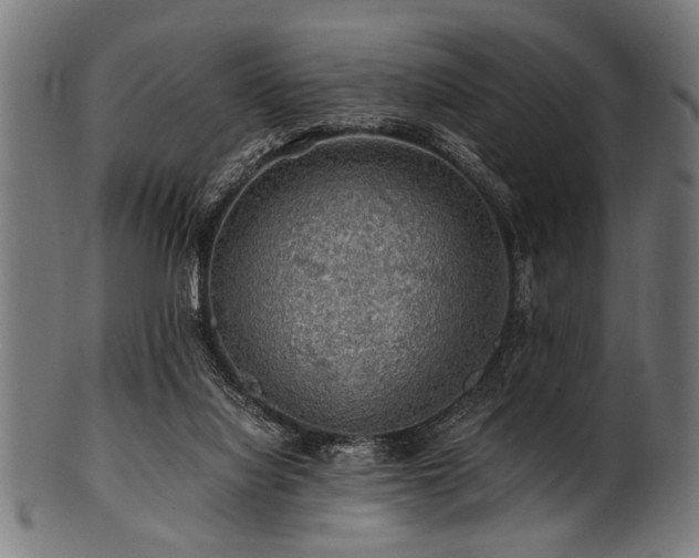 X0000100950068200806241513