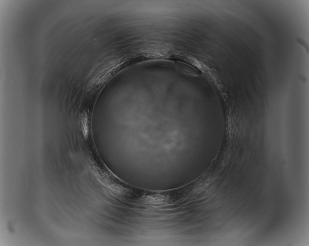 X0000100950069200806241513