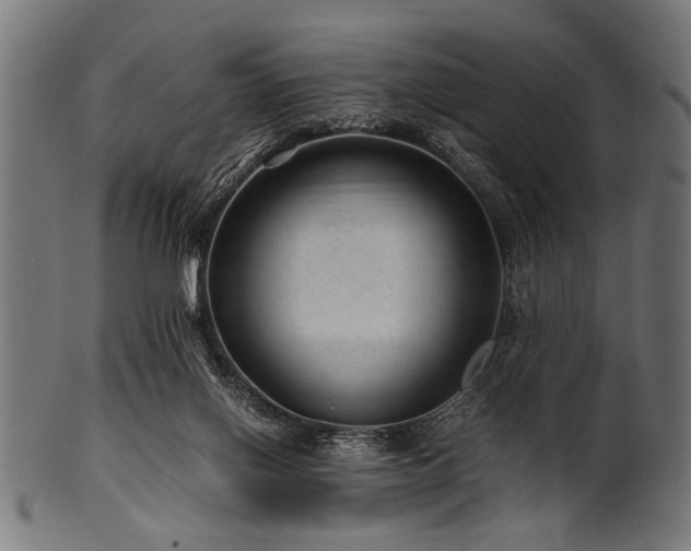 X0000100950070200806241513