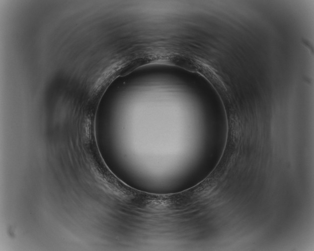 X0000100950071200806241513