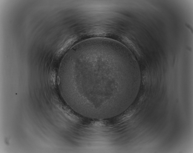 X0000100950072200806241513