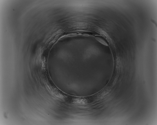 X0000100950073200806241513