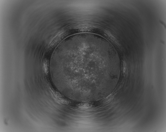 X0000100950074200806241513