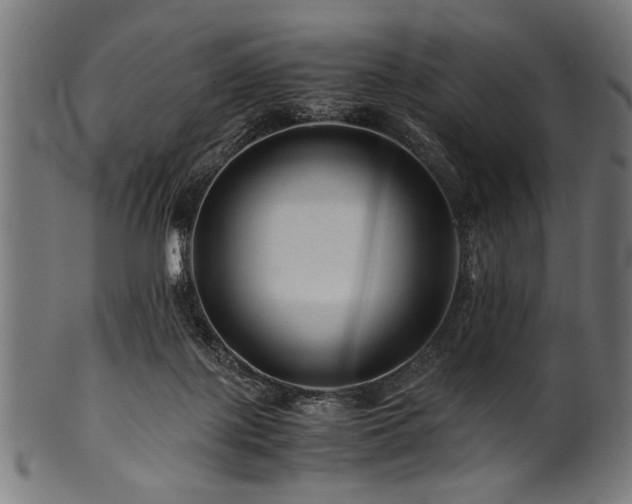 X0000100950075200806241513
