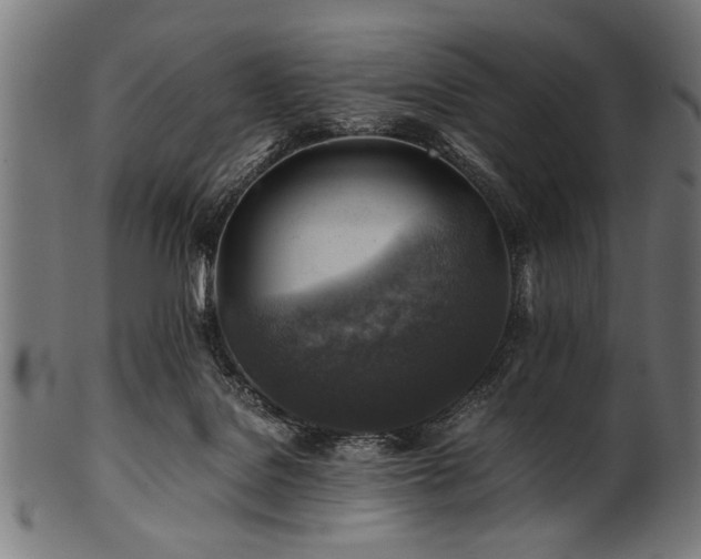 X0000100950076200806241513