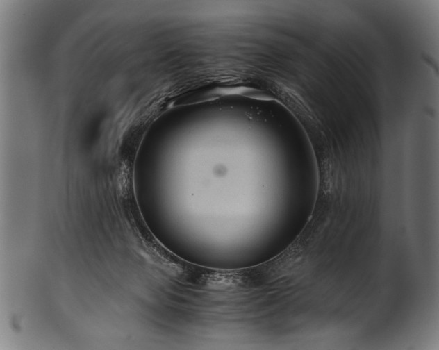 X0000100950077200806241513