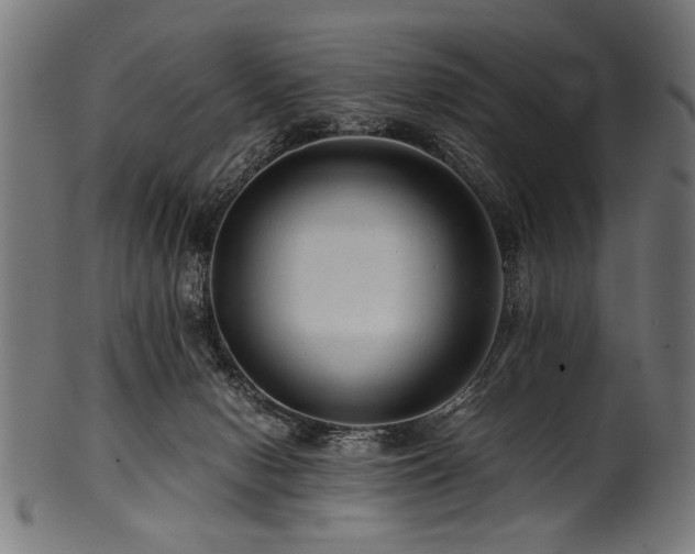 X0000100950078200806241513