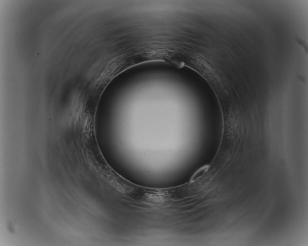 X0000100950079200806241513