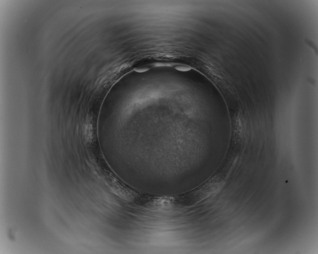 X0000100950080200806241513