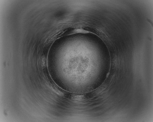X0000100950081200806241513