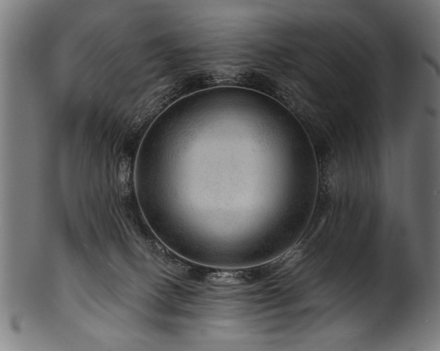 X0000100950082200806241513