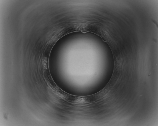 X0000100950083200806241513