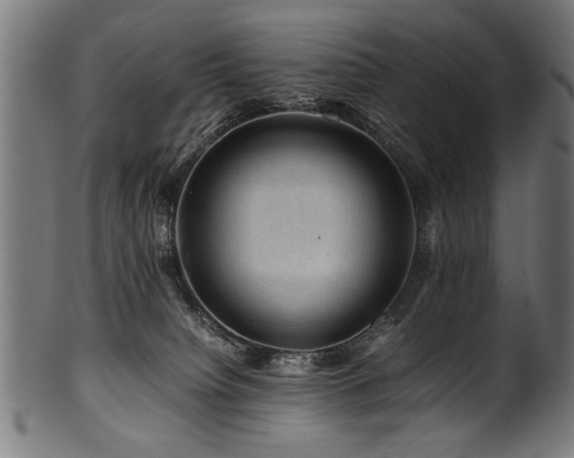 X0000100950084200806241513