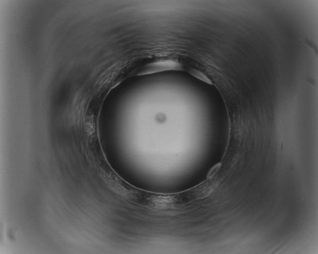 X0000100950085200806241513
