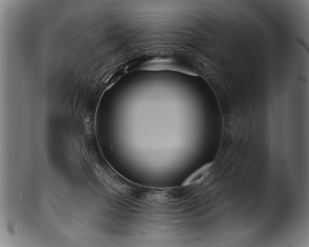 X0000100950086200806241514