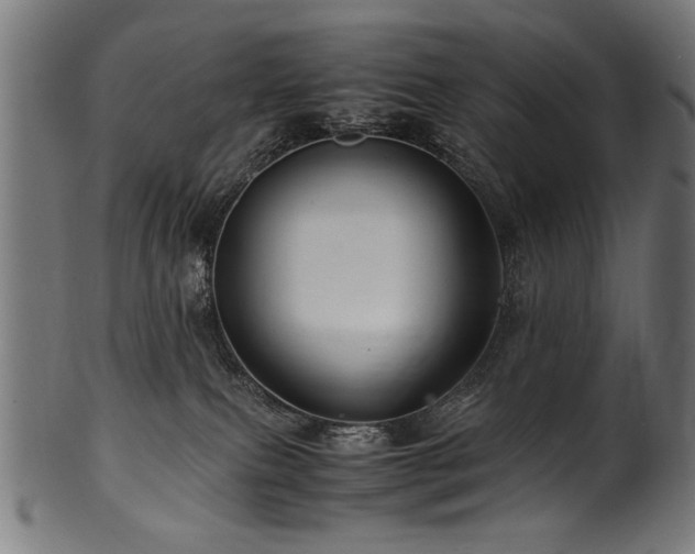 X0000100950087200806241514
