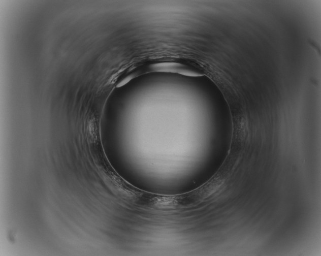 X0000100950088200806241514