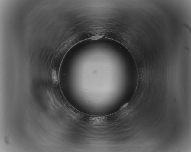 X0000100950089200806241514