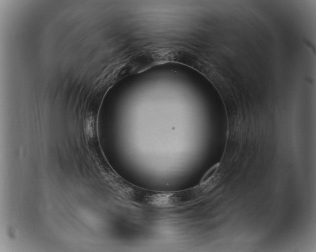 X0000100950090200806241514