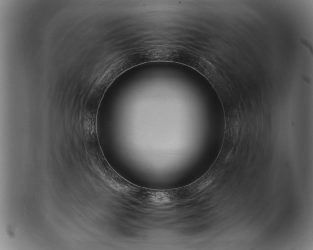 X0000100950091200806241514