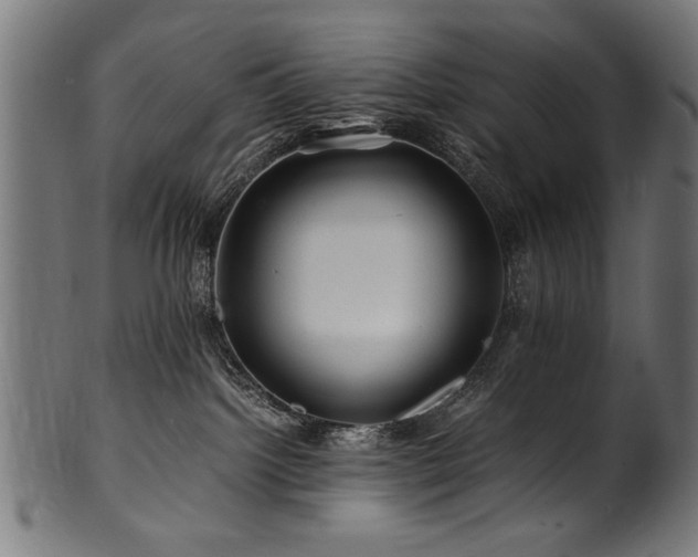 X0000100950092200806241514