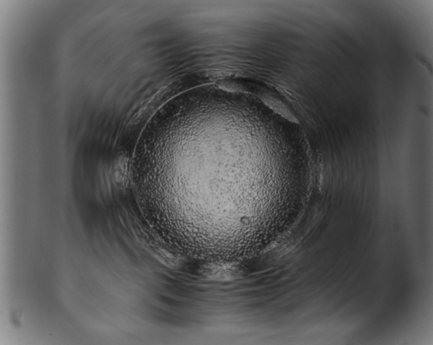 X0000100950093200806241514