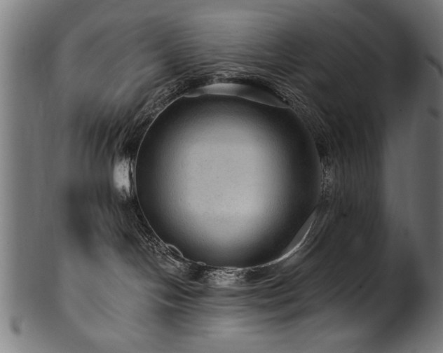 X0000100950094200806241514