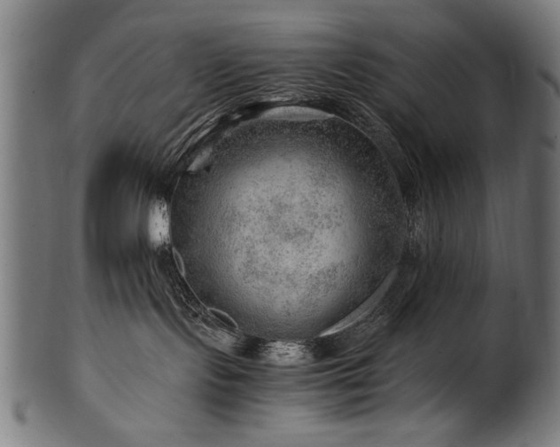 X0000100950095200806241514