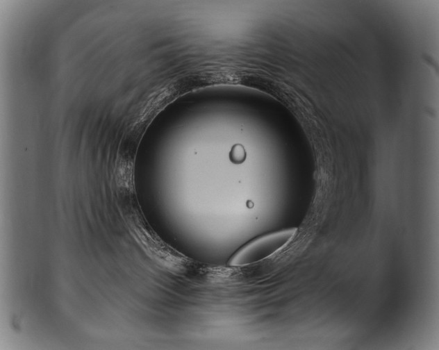 X0000100950096200806241514