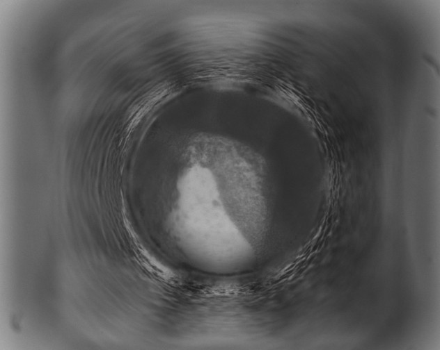 X0000100950097200806241513