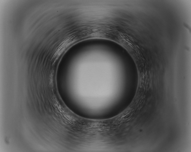 X0000100950098200806241513
