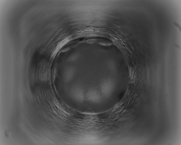 X0000100950099200806241513