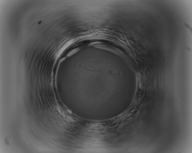 X0000100950100200806241513