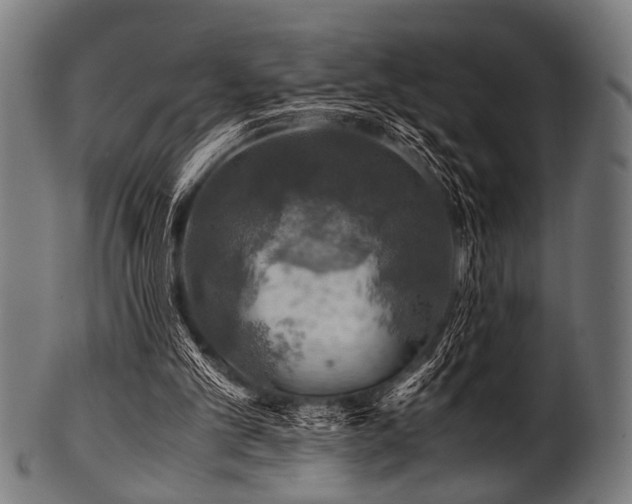 X0000100950101200806241513
