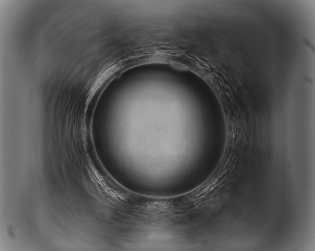 X0000100950102200806241513