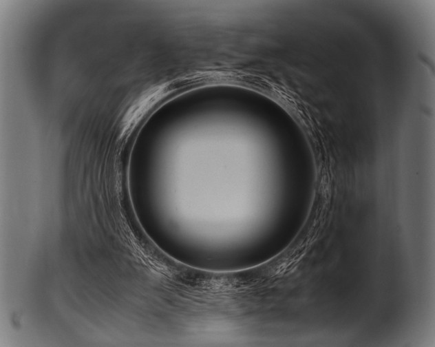 X0000100950103200806241513
