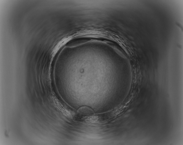 X0000100950104200806241513