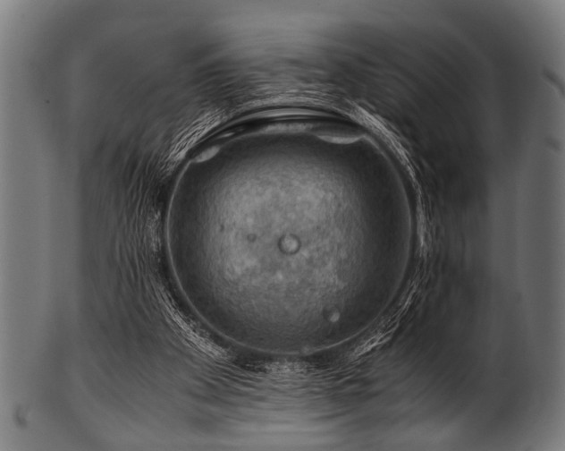 X0000100950105200806241513