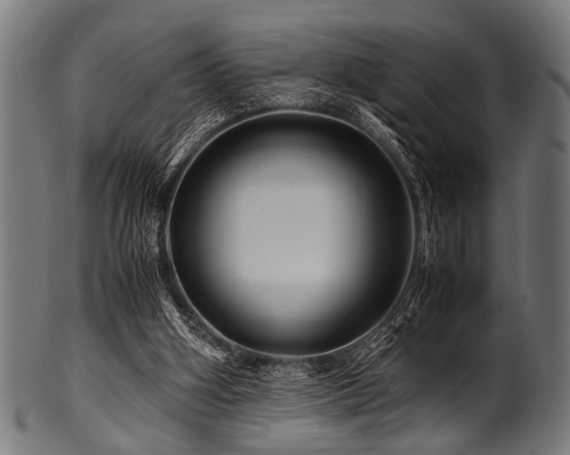 X0000100950106200806241513