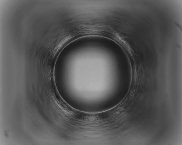 X0000100950107200806241513
