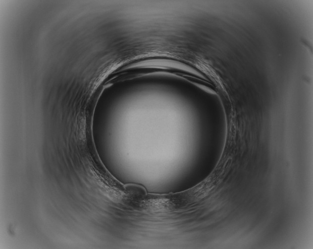 X0000100950108200806241513