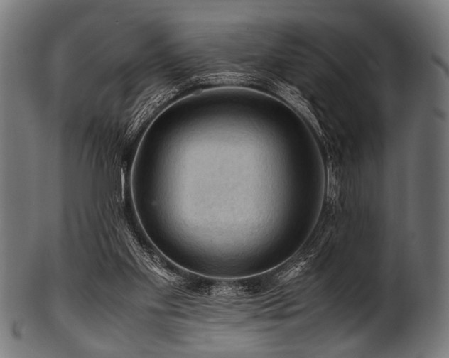 X0000100950109200806241513