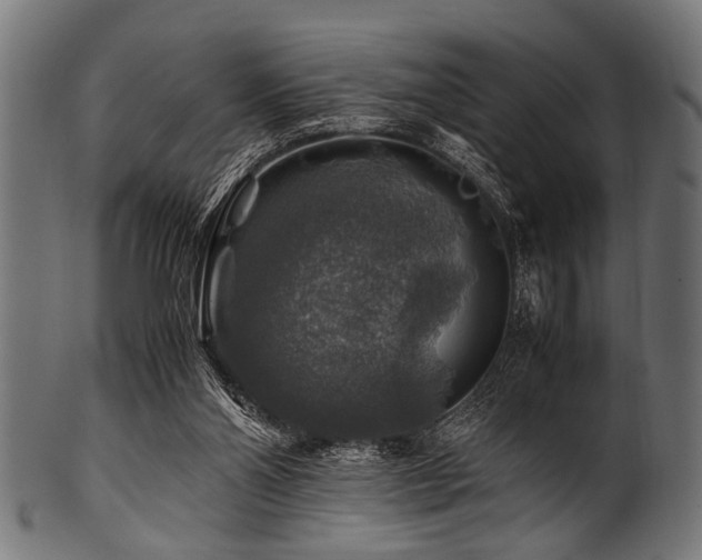 X0000100950110200806241513