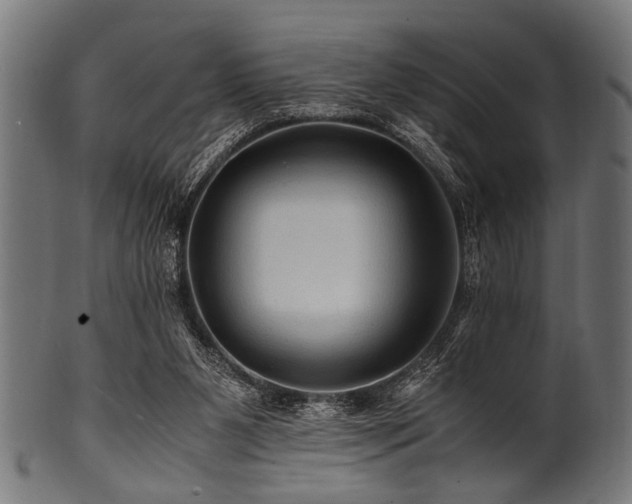 X0000100950111200806241513
