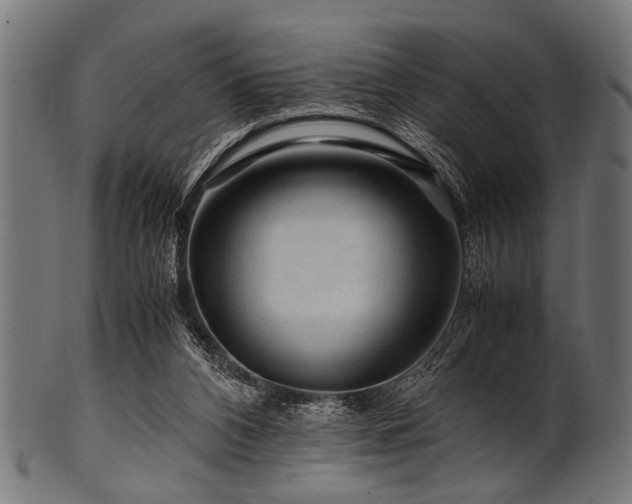 X0000100950112200806241513