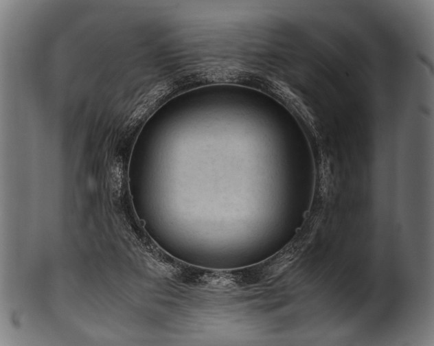 X0000100950113200806241513